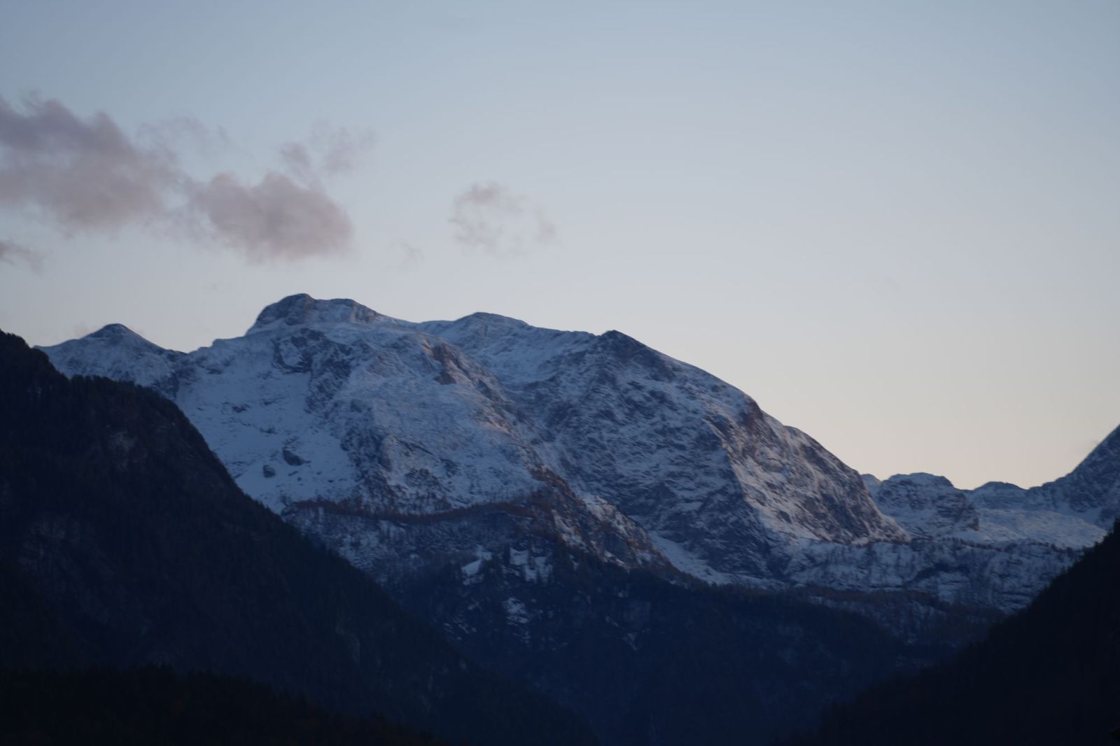 🍄 Der Wald zieht sein Winterkleid an: Abschied von den Herbstschätzen – Willkommen, Winterpilze!